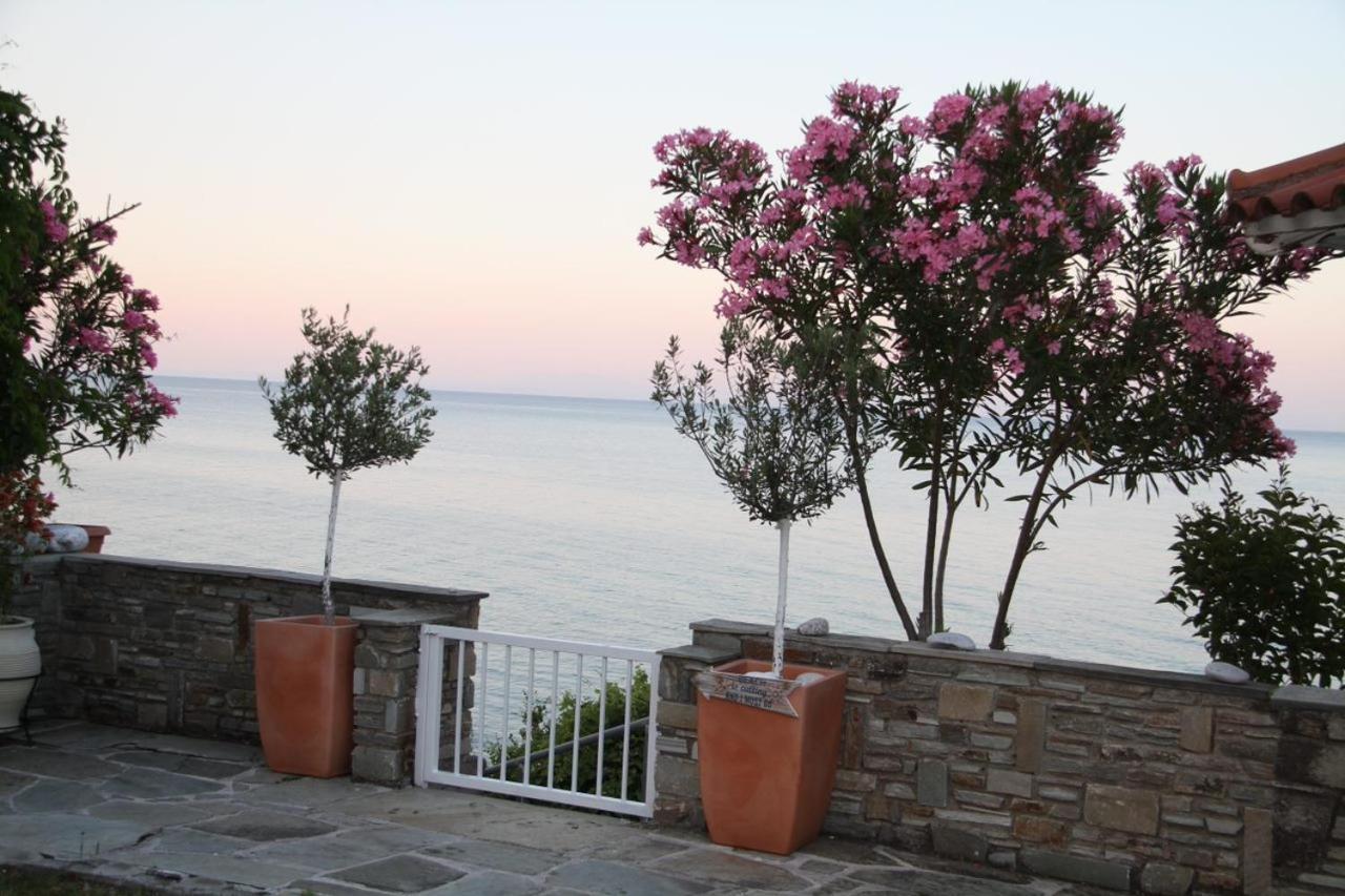 Sunrise Luxury Villa ปลากา ลิโตโคโร ภายนอก รูปภาพ